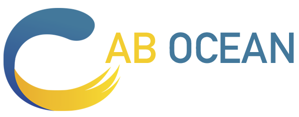 Cab Ocean - Transfert aéroport & chauffeur privé - Taxi Casablanca Airport